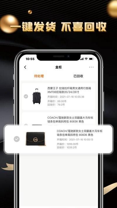 锦鲤盲盒软件下载,锦鲤盲盒,盲盒app
