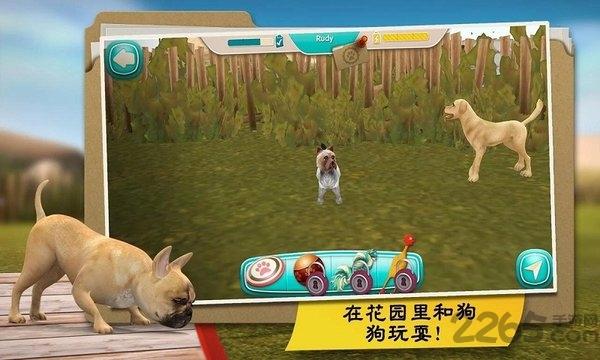 我的寄宿狗屋汉化版下载,我的寄宿狗屋,宠物游戏,养成游戏